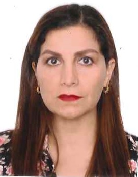 MÓNICA CAROLA TUEROS SALAZAR